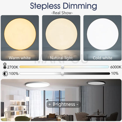Smart LED Ceiling Lamp